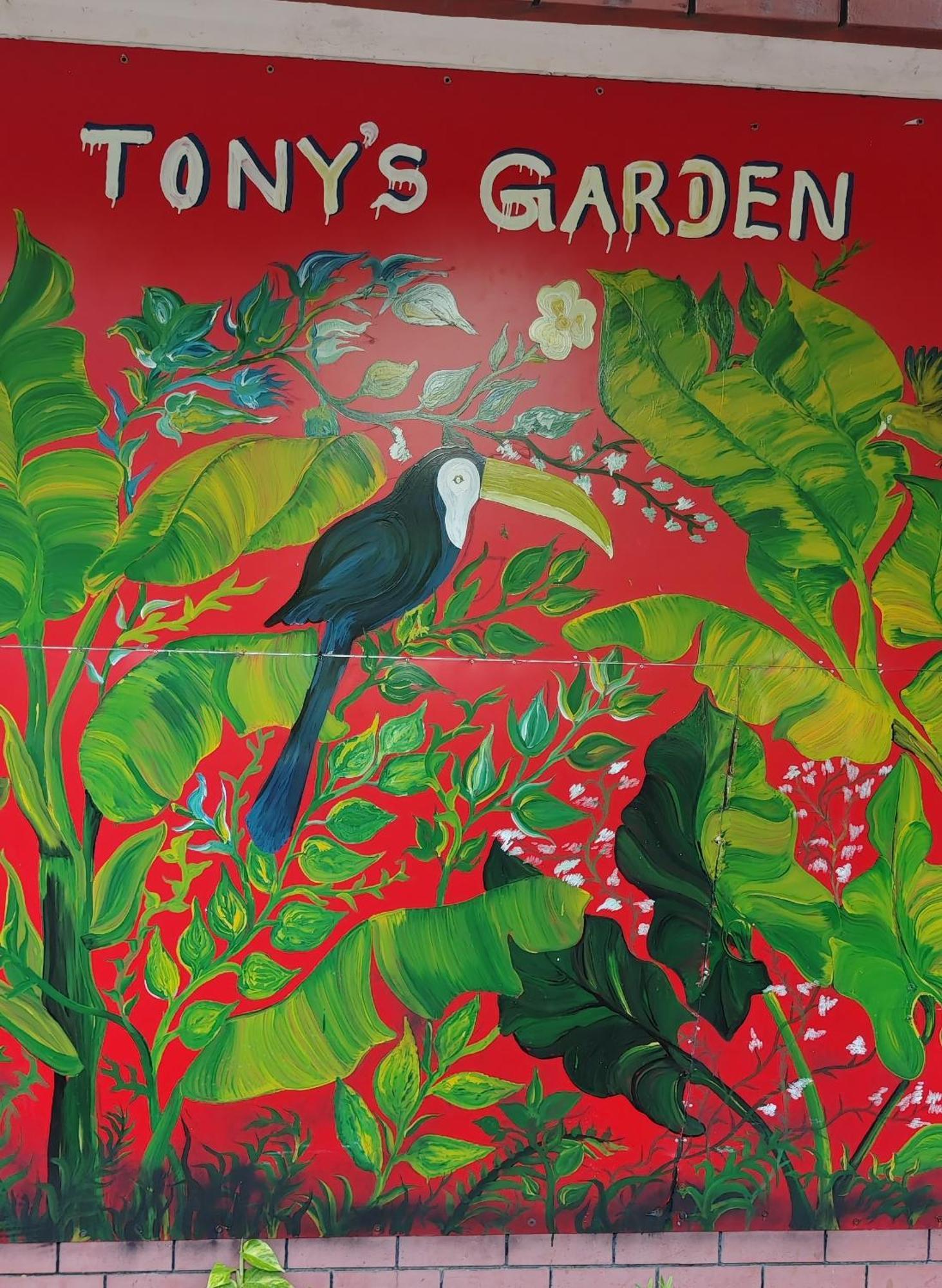 Tony'S Garden House Back Packers Inn 贾夫纳 外观 照片