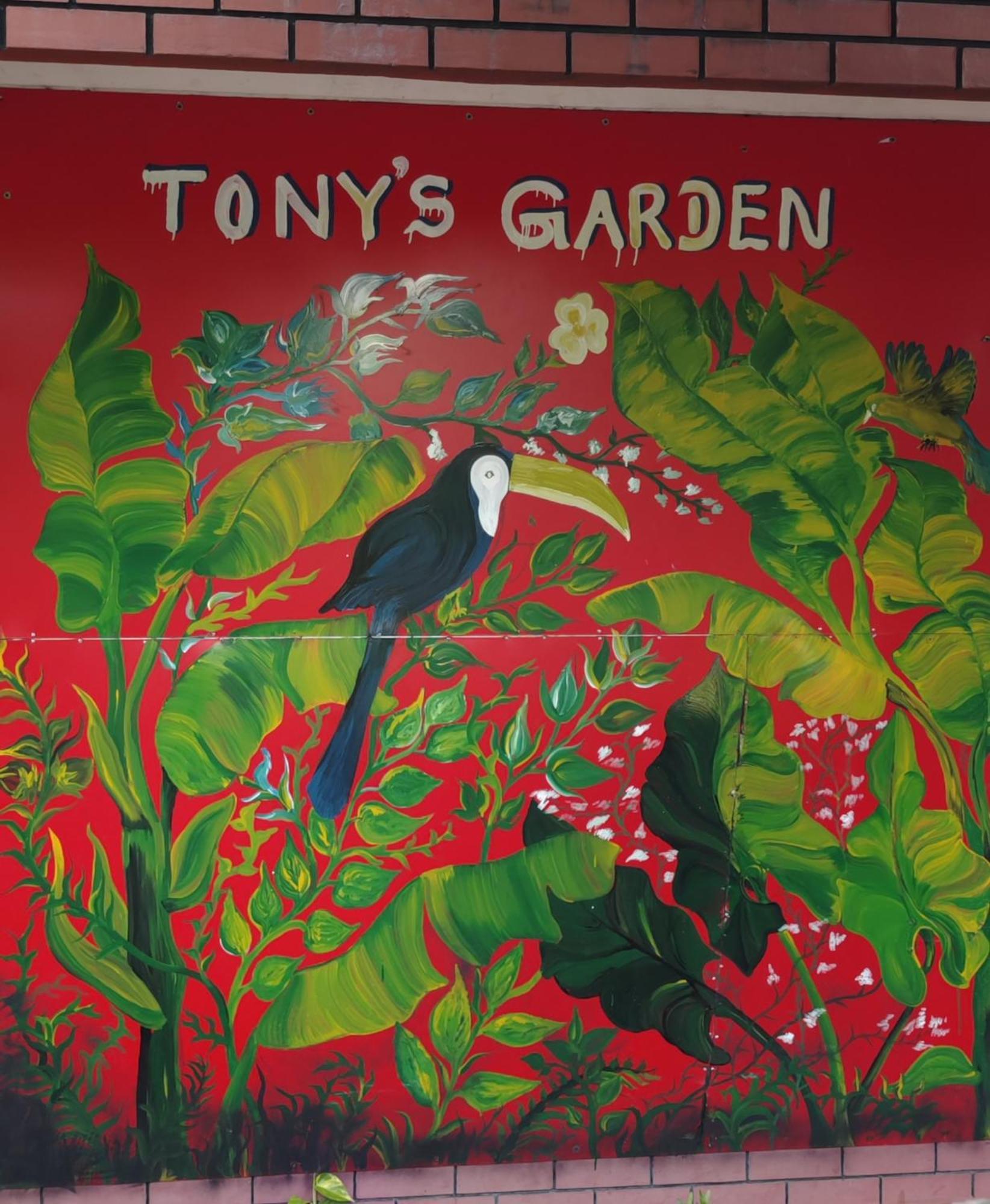 Tony'S Garden House Back Packers Inn 贾夫纳 外观 照片